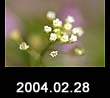 2004.02.28