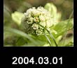2004.03.01