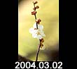2004.03.02