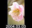 2004.03.03