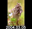 2004.03.05