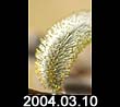 2004.03.10