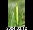 2004.03.12