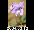 2004.03.13