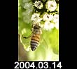 2004.03.14