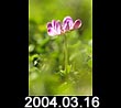 2004.03.16