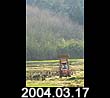 2004.03.17