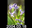 2004.03.18
