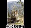 2004.03.21