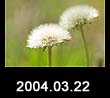 2004.03.22
