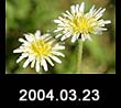 2004.03.23