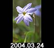 2004.03.24