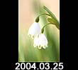 2004.03.25