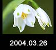 2004.03.26