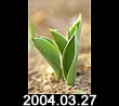 2004.03.27