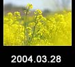 2004.03.28