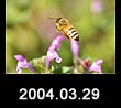 2004.03.29