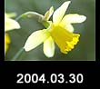 2004.03.30