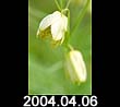 2004.04.06