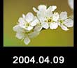 2004.04.09