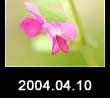 2004.04.10