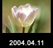 2004.04.11