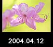 2004.04.12