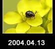 2004.04.13