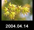 2004.04.14