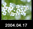2004.04.17