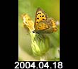 2004.04.18