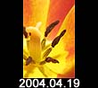 2004.04.19