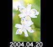 2004.04.20