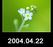 2004.04.22