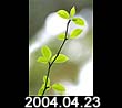 2004.04.24