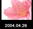 2004.04.26