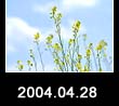 2004.04.28