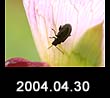 2004.04.30