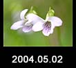 2004.05.02