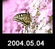 2004.05.04