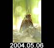 2004.05.06
