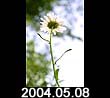 2004.05.08