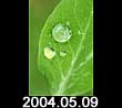 2004.05.09