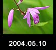 2004.05.10