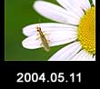 2004.05.11