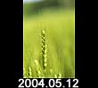 2004.05.12