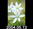 2004.05.13