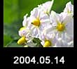 2004.05.14