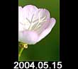 2004.05.15
