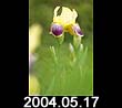 2004.05.17